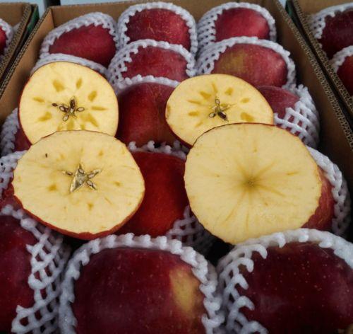 西昌吃大瓜,大瓜盛宴，尽享清凉美食之旅