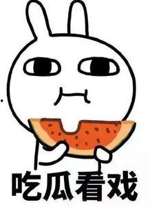 吃瓜小何,揭秘娱乐圈那些不为人知的幕后故事