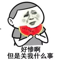 关注发吃瓜原视频