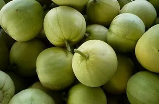 甜瓜吃瓜现场视频下载,趣味视频瞬间走红网络