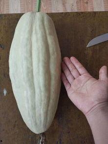 大瓜能做啥吃的呢视频,创意料理新体验