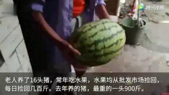 吃瓜被打视频完整版,完整版视频揭露惊人真相