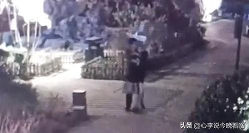 临沂吃瓜视频完整版,揭秘背后真相，带你领略民间趣味